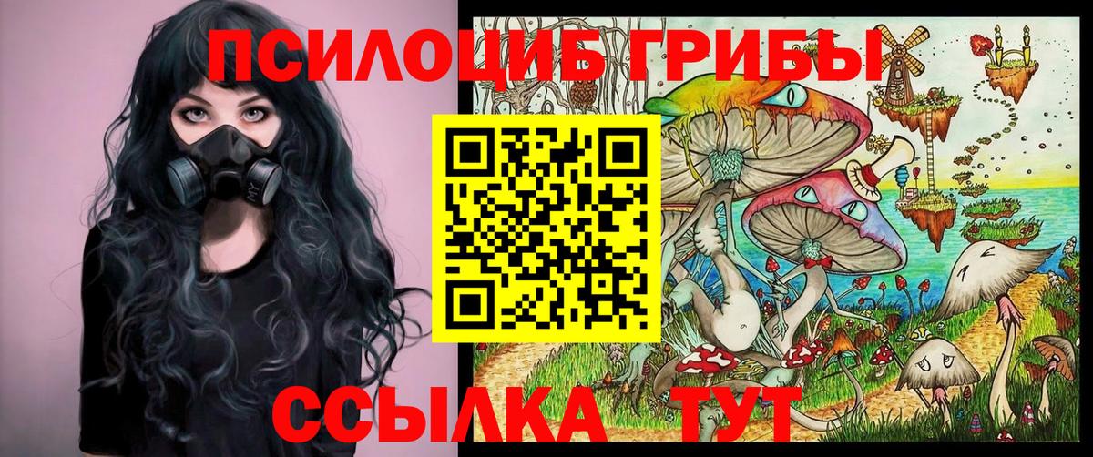 Псилоцибиновые грибы прущие грибы Киров