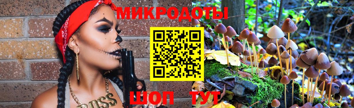 Псилоцибиновые грибы Psilocybe  Вход с VPN  Киров 